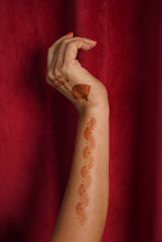 Load image into Gallery viewer, RMDN 25: Henna Stencils
